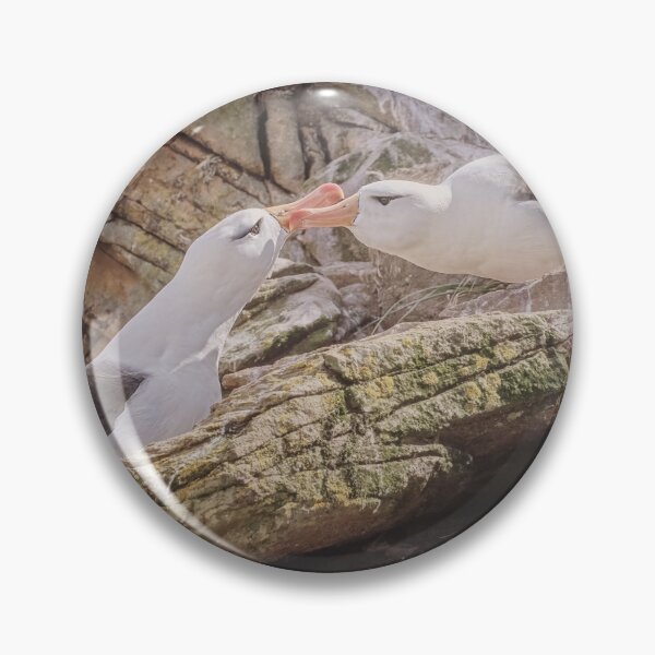 Item preview, Albatross Courtship Falkland Island designed and sold by PhotoArt by Joan Carroll.