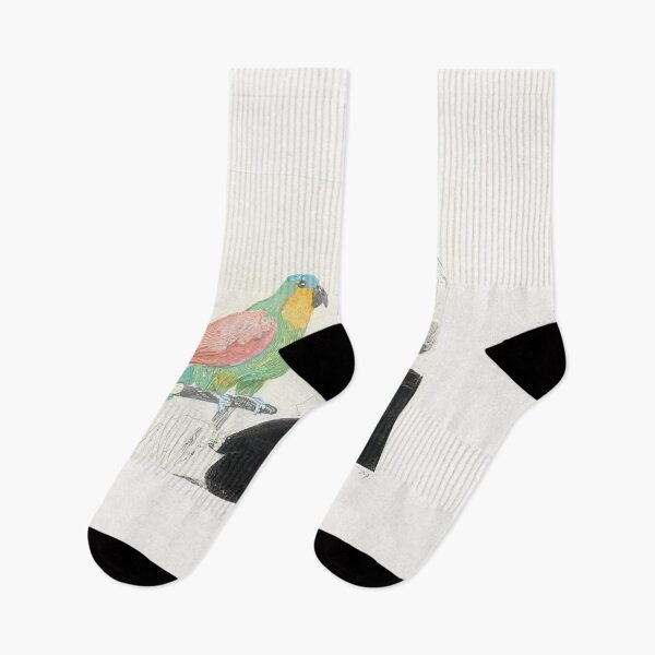 Item preview, David Hockney -  Felicite Sleeping, With Parrot - Signed Print by David Hockney undefinedr designed and sold by LILLIANSTRANGEy.