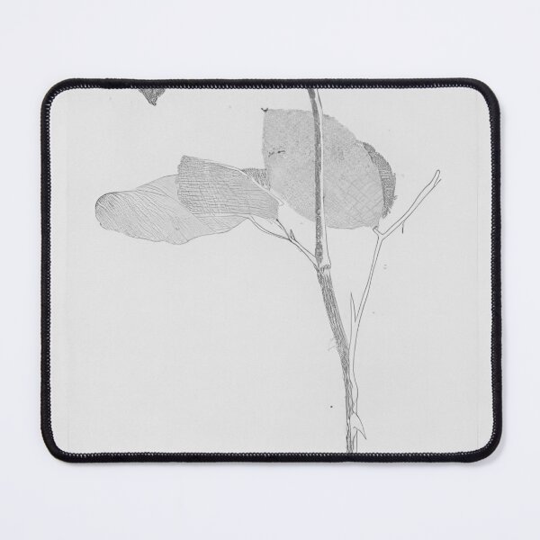 Item preview, David Hockney - The Rose And The Rose Stalk - Signed Print by David Hockney undefinedr designed and sold by LILLIANSTRANGEy.