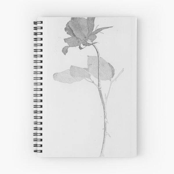 Item preview, David Hockney -  The Rose And The Rose Stalk - Signed Print by David Hockney undefinedr designed and sold by LILLIANSTRANGEy.