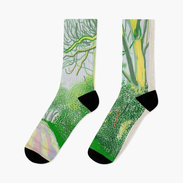 Item preview, David Hockney -  David Hockney aux enchères résultats et leçons du premier trimestre  designed and sold by LILLIANSTRANGEy.
