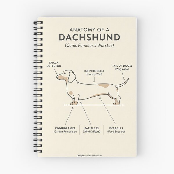 Item preview, Anatomy of a Dachshund Funny Dog Chart designed and sold by KMKDesignStudio.