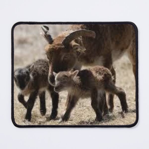 Item preview, Soay Ewe and her lambs designed and sold by MAGIKARTIST.