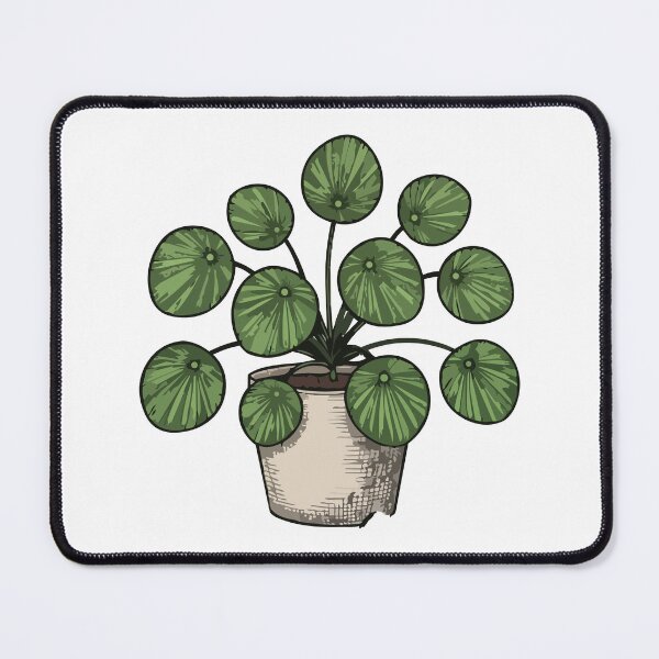 Item preview, Cute Pilea Peperomioides Illustration – Chinese Money Plant Art designed and sold by KMKDesignStudio.