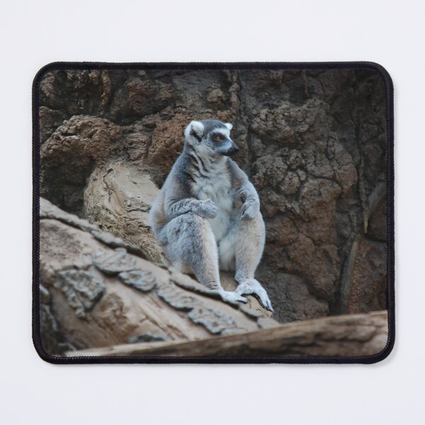 Item preview, Bronx Zoo, Ring-tailed lemur (Lemur catta) designed and sold by capovtxphotography.