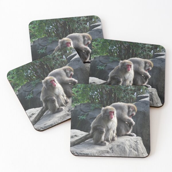 Item preview, Central Park Zoo, Japanese macaque (Macaca fuscata) designed and sold by capovtxphotography.