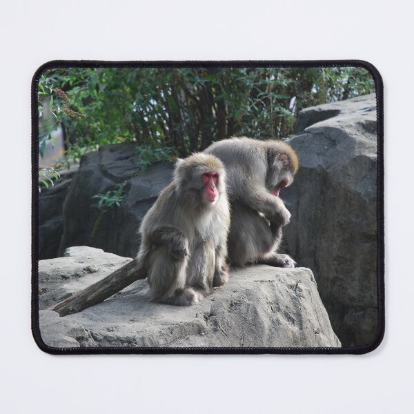 Item preview, Central Park Zoo, Japanese macaque (Macaca fuscata) designed and sold by capovtxphotography.