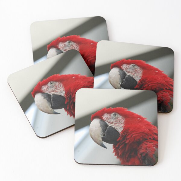 Item preview, Central Park Zoo, Green-winged macaw (Ara chloropterus) designed and sold by capovtxphotography.
