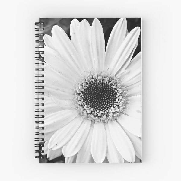 Item preview, Thoughtful Gerbera designed and sold by Photos By Fotini.