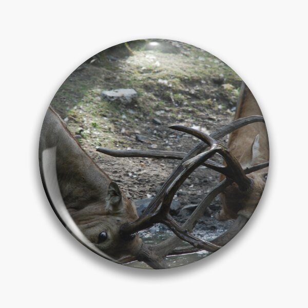 Item preview, Bronx Zoo, Pere David's deer (Elaphurus davidianus) designed and sold by capovtxphotography.