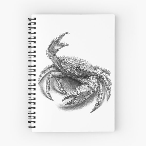 Item preview, Detailed Charcoal Drawing of a Crab designed and sold by kolonjArt.