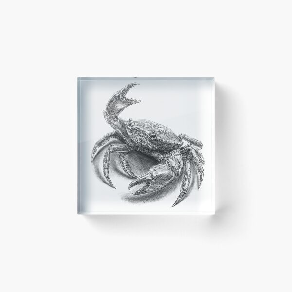 Item preview, Detailed Charcoal Drawing of a Crab designed and sold by kolonjArt.