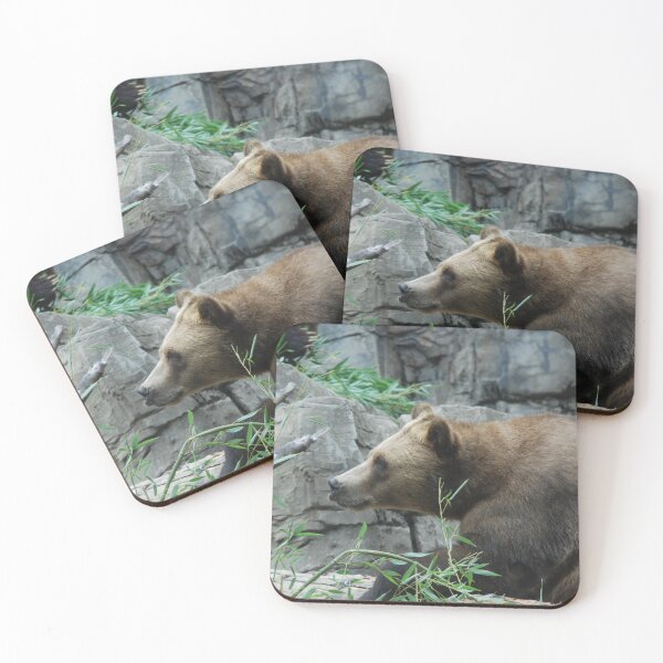 Item preview, Central Park Zoo, Grizzly Bear (Ursus arctos horribilis) designed and sold by capovtxphotography.