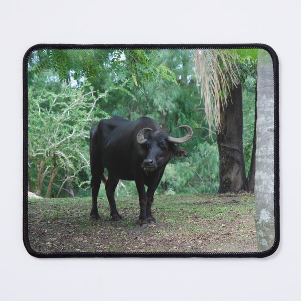 Item preview, Disney's Animal Kingdom, Asiatic buffalo (Bubalus arnee) designed and sold by capovtxphotography.