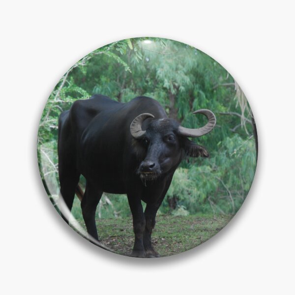 Item preview, Disney's Animal Kingdom, Asiatic buffalo (Bubalus arnee) designed and sold by capovtxphotography.