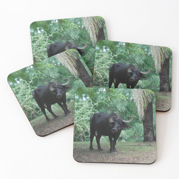 Item preview, Disney's Animal Kingdom, Asiatic buffalo (Bubalus arnee) designed and sold by capovtxphotography.