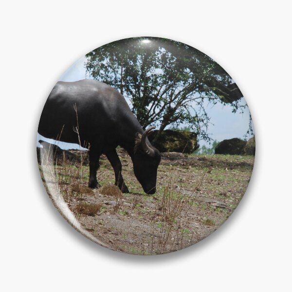 Item preview, Disney's Animal Kingdom, Asiatic buffalo (Bubalus arnee) designed and sold by capovtxphotography.