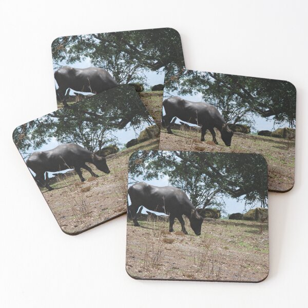 Item preview, Disney's Animal Kingdom, Asiatic buffalo (Bubalus arnee) designed and sold by capovtxphotography.