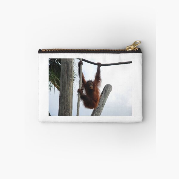 Item preview, Tampa Zoo, Bornean orangutan (Pongo pygmaeus)  designed and sold by capovtxphotography.