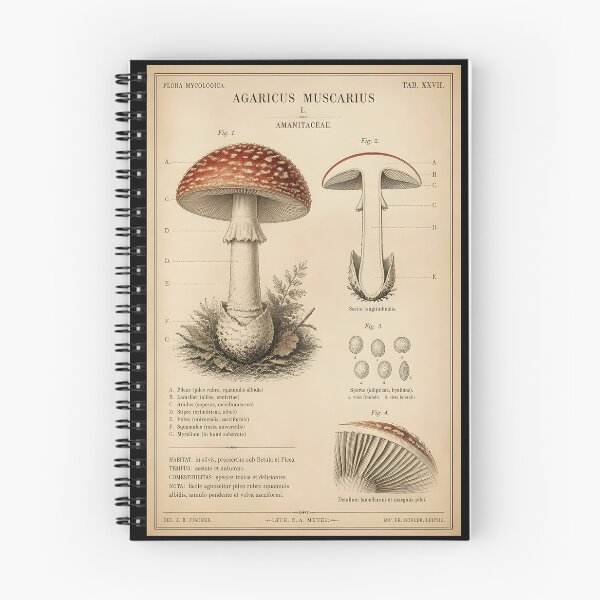 Item preview, Plate XXVII: Common Toadstool designed and sold by FringeInk.