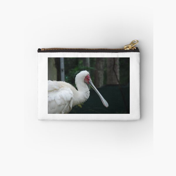 Item preview, Tampa Zoo, African spoonbill (Platalea alba) designed and sold by capovtxphotography.