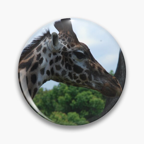 Item preview, Disney's Animal Kingdom, Masai giraffe (Giraffa tippelskirchi) designed and sold by capovtxphotography.