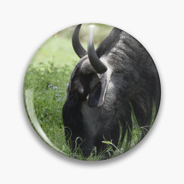 Item preview, Disney's Animal Kingdom, Blue wildebeest (Connochaetes taurinus) designed and sold by capovtxphotography.