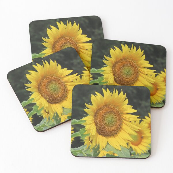 Item preview, Sunflower Growing on Michigan Farm - Nature Photography designed and sold by Sam Morrison.