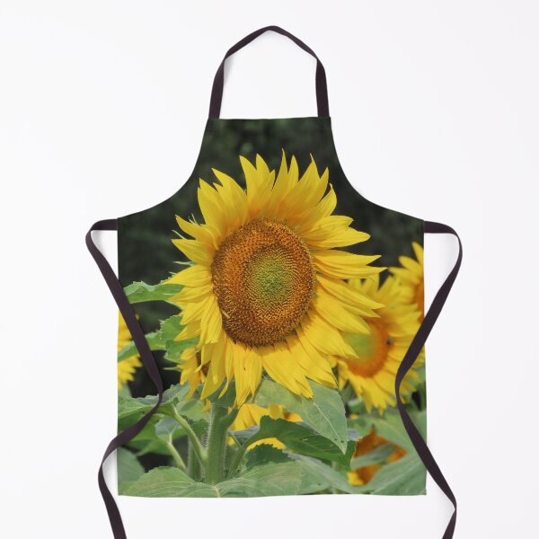 Item preview, Sunflower Growing on Michigan Farm - Nature Photography designed and sold by Sam Morrison.