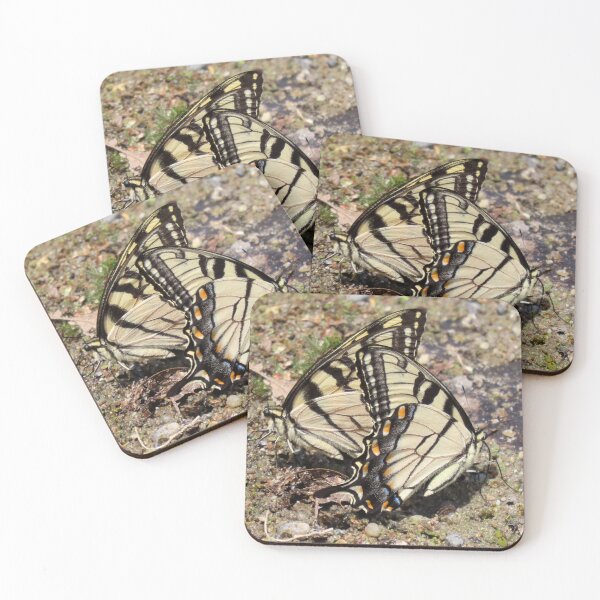 Item preview, Two Eastern Swallowtail Butterflies Feeding on a Beach - Nature Photography designed and sold by Sam Morrison.