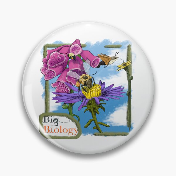 Item preview, A coevolutionary conundrum designed and sold by BigBiology.