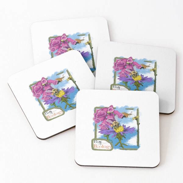 Item preview, A coevolutionary conundrum designed and sold by BigBiology.