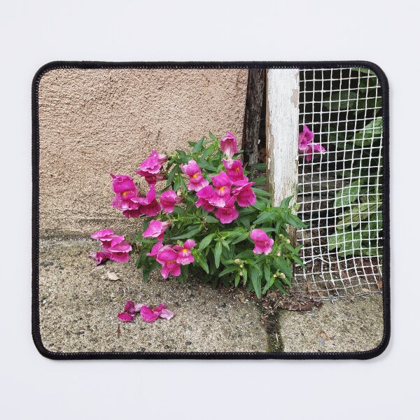Item preview, Snapdragons Escaping designed and sold by concretebotany.