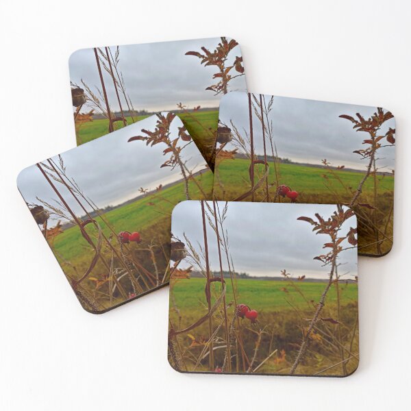 Item preview, Moody Late Autumn: Red Rosehips and Green Field designed and sold by Levorr.