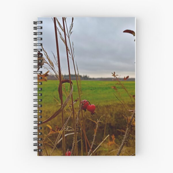 Item preview, Moody Late Autumn: Red Rosehips and Green Field designed and sold by Levorr.