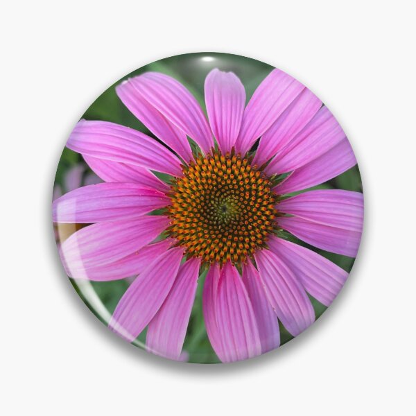 Item preview, Coneflower  designed and sold by OliverAwakenedPhotography.