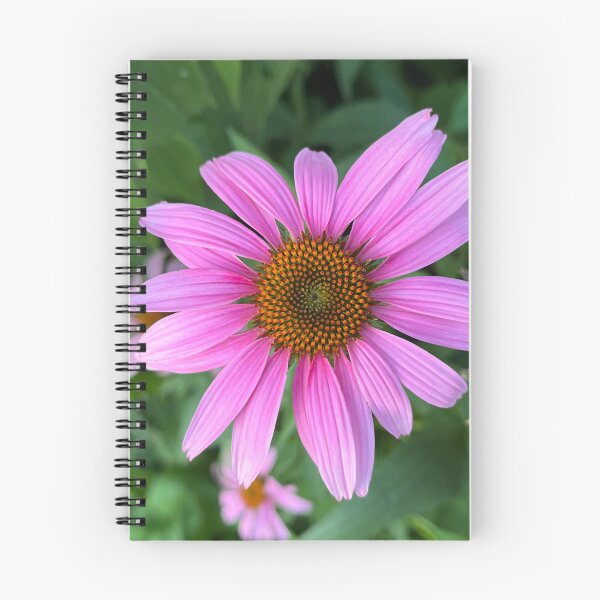 Item preview, Coneflower  designed and sold by OliverAwakenedPhotography.