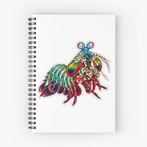 Item preview, Peacock Mantis Shrimp Holographic Sticker Art designed and sold by KenworksDigital.