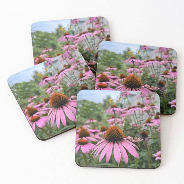 Item preview, Coneflowers designed and sold by OliverAwakenedPhotography.