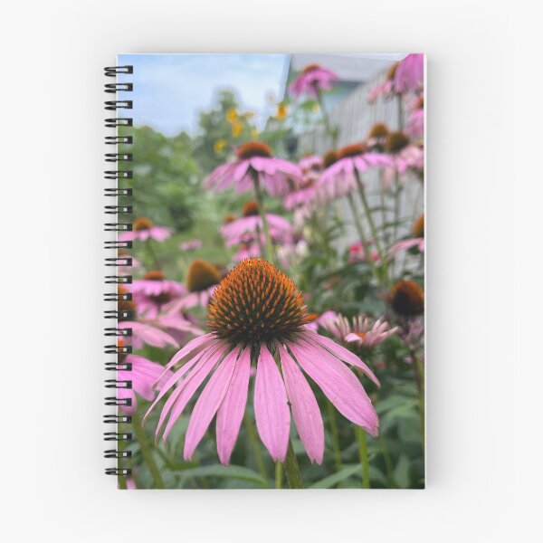 Item preview, Coneflowers designed and sold by OliverAwakenedPhotography.