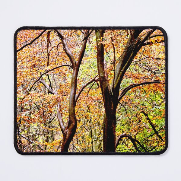 Item preview, Autumnal Sunlight designed and sold by Fine-Art-Hub.