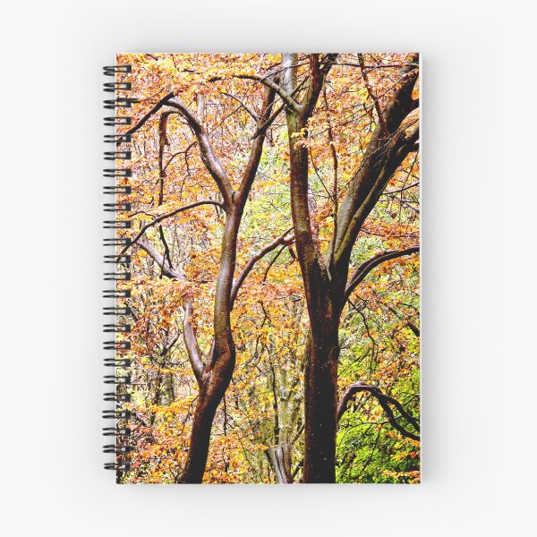 Item preview, Autumnal Sunlight designed and sold by Fine-Art-Hub.