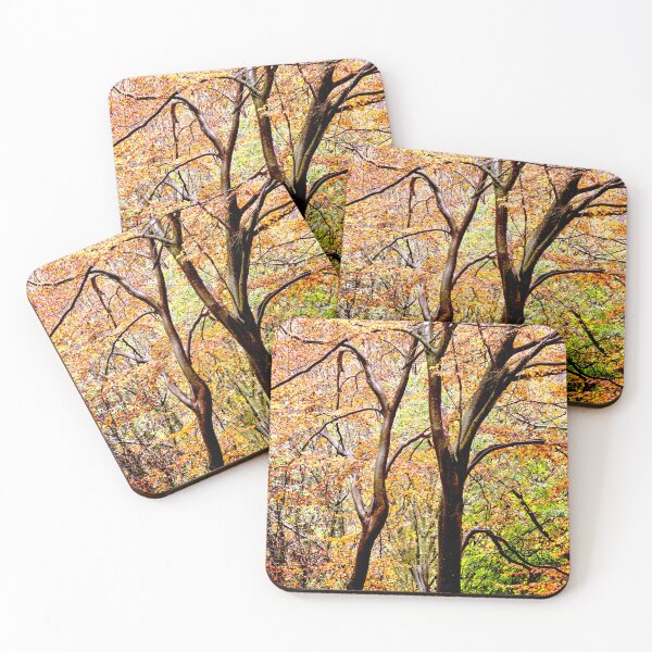 Item preview, Autumnal Sunlight designed and sold by Fine-Art-Hub.