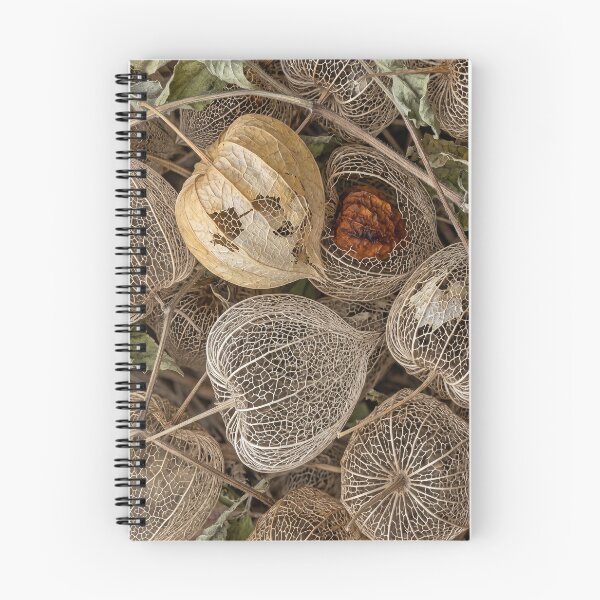 Item preview, Keep the Papery Ones designed and sold by ASSEMBLE WONDER.