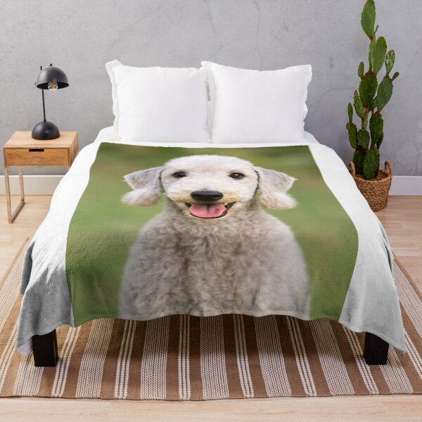 Item preview, Bedlington Terrier Dog designed and sold by BackgroundND.