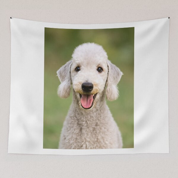 Item preview, Bedlington Terrier Dog designed and sold by BackgroundND.