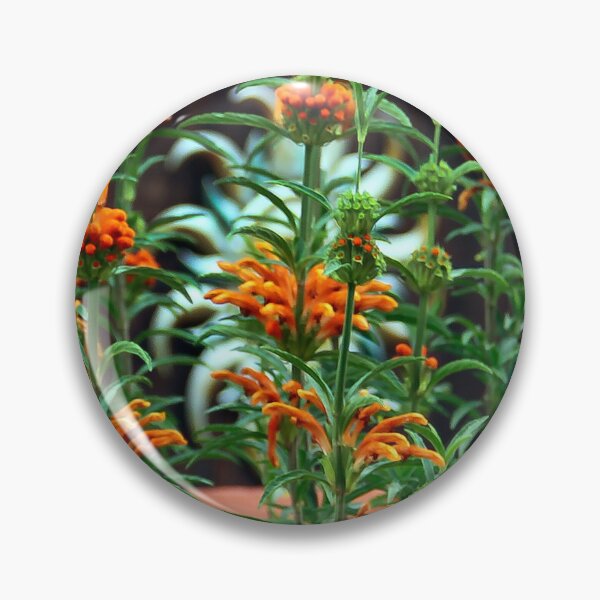 Artikelvorschau, Was verbirgt sich hinter den Blumen? entworfen und verkauft von heatherfriedman.