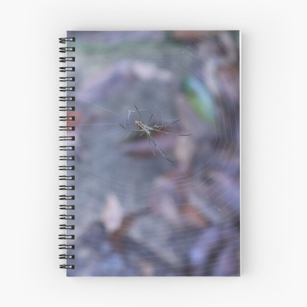 Item preview, Spider waiting in its web designed and sold by neta98.