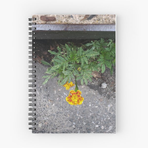 Item preview, Storm Drain Marigold designed and sold by concretebotany.