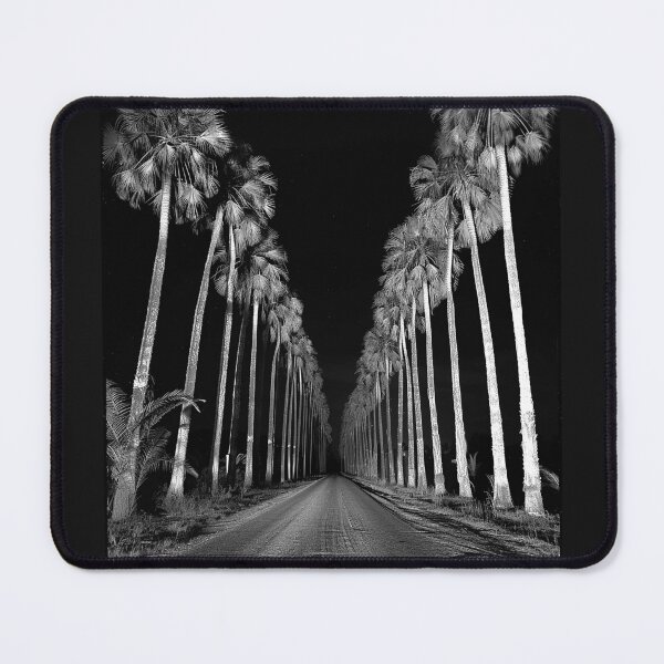 Item preview, Palm Tree Road Tropical Night Monochrome Landscape Art designed and sold by inkoutninja.